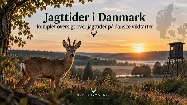 Jagttider i Danmark – komplet guide til de danske jagttider