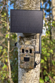 4G Wildlife Camera LIVE, App, and Solar Panel